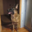 ���� �������, �������, 59 ��� - ��������� 30 ������� 2014 � ������ ������ ��������� ����