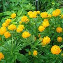 ���� �����, ������, 69 ��� - ��������� 15 ����� 2015 � ������ ���� ����������