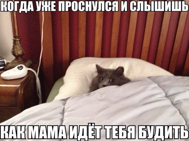        ! <a href=