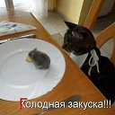 ���� �����, ������, 55 ��� - ��������� 22 ������� 2014 � ������ ������ ��������