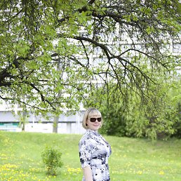 ���� �����, ������, 43 ���� - ��������� 2 ������ 2015