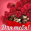 ���� �������, ������ - ��������� 16 ������ 2015 � ������ �������� ��������