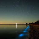 ���� ������, ���� - ��������� 7 ������ 2015 � ������ �����