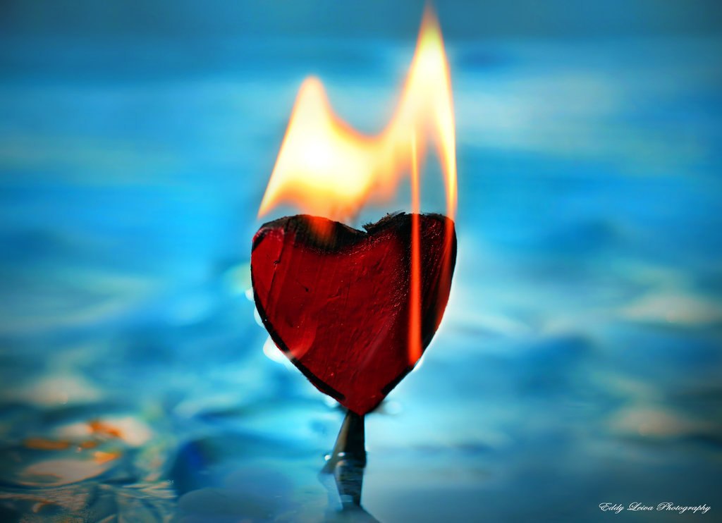 ���� ������� ����� ����, ��� ������, ������ ��� ���������.