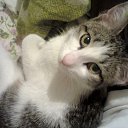 ������� ���� ���������� ������!! ������ � ����� �� ������� ��������