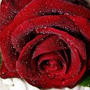 ���� �������, �����������, 61 ��� - ��������� 22 ����� 2015 � ������ ���� ����������