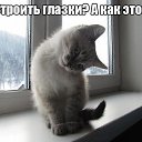  Irishka))),  -  24  2015    