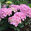 ���� �������, ������, 51 ��� - ��������� 22 ������� 2015 � ������ ���� ������