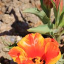  , , 60  -  13  2015      11.04.15.