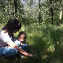 ���� �, �������� - ��������� 13 ������ 2015 � ������ ���� ����������