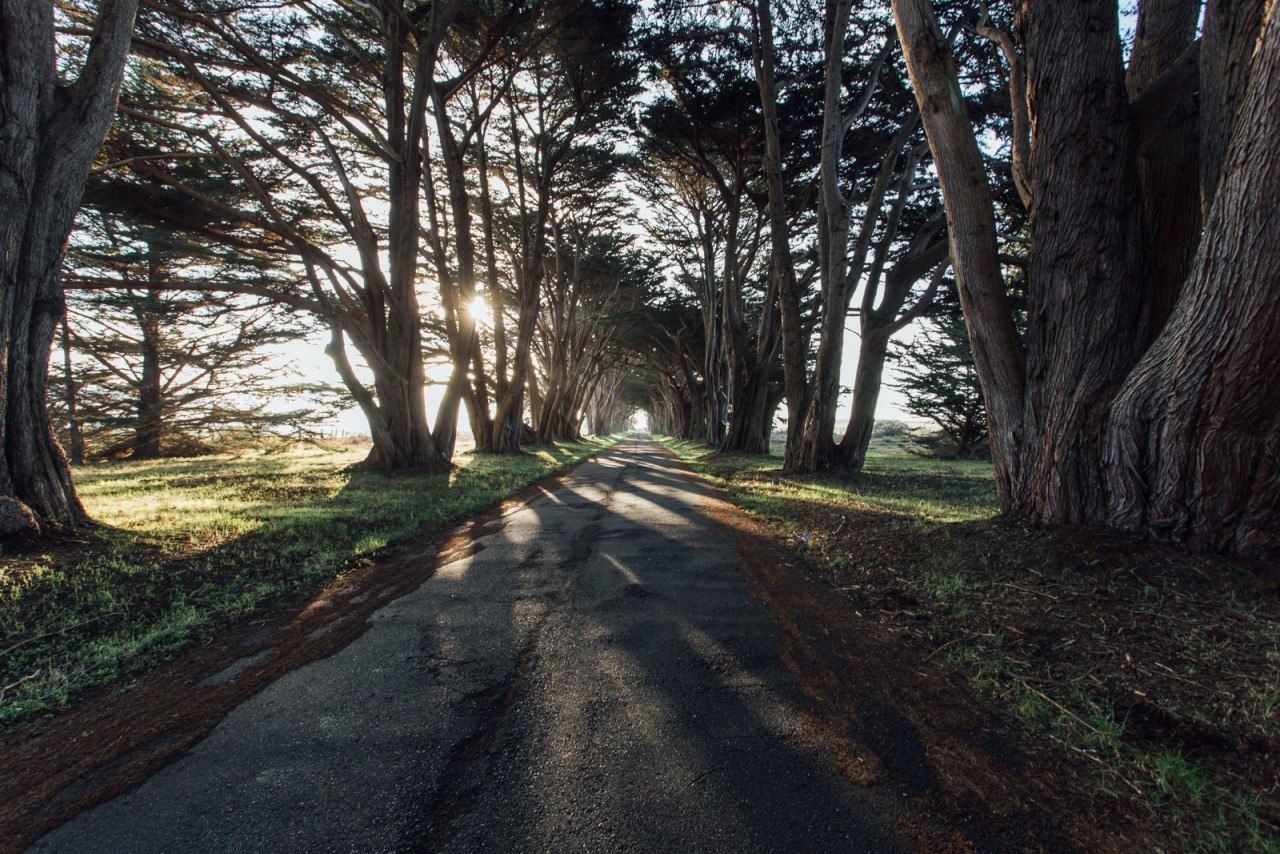 Bay Area, California