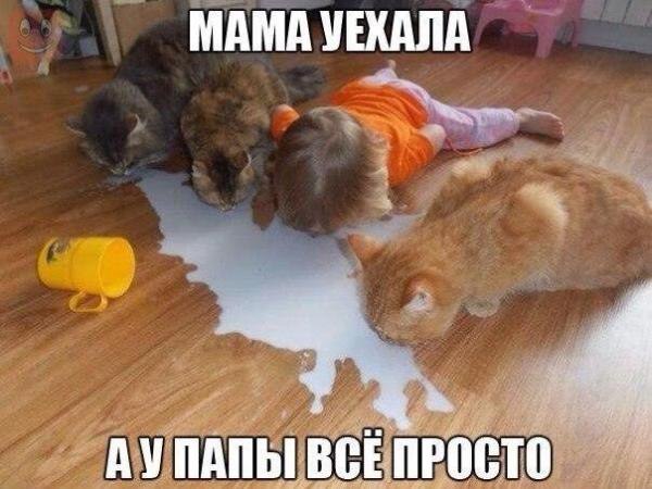        ! <a href=