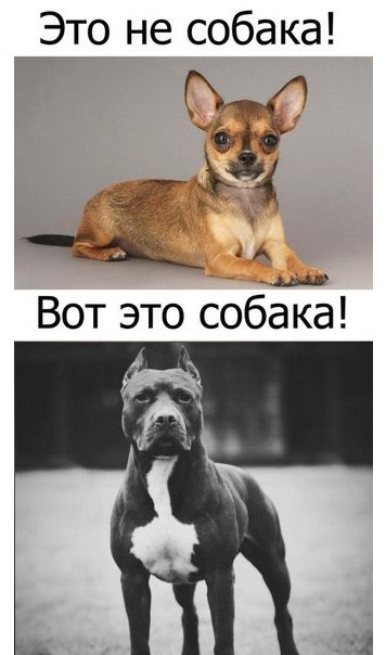 Art & Fun - 21  2015  07:09