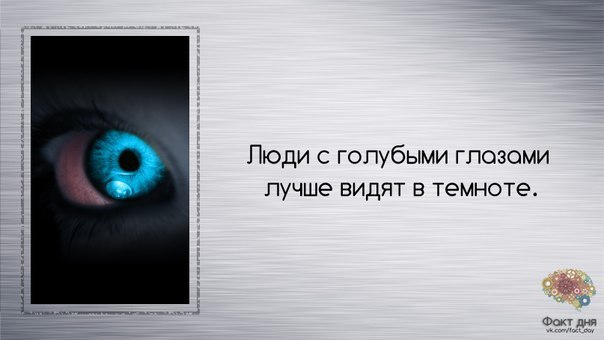 Дети видят в темноте. Люди с голубыми глазами лучше видят в темноте. Голубые глаза лучше видят в темноте. Правда что люди с голубыми глазами лучше видят в темноте. Голубоглазые видят в темноте лучше.