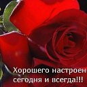 ���� �����, ���� - ��������� 15 ����� 2015 � ������ �������� ��������