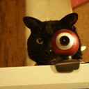 ���� ���, ������ - ��������� 1 ������ 2015 � ������ ���� ����������