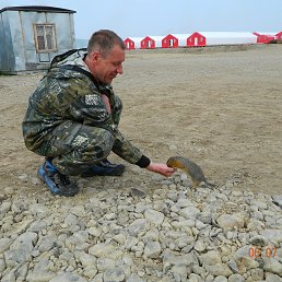 ������������ � ���������� �-��.