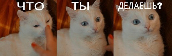 ���� ������� :3 - 7 ����� 2015 � 21:48