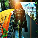 ���� �����, �������, 33 ���� - ��������� 16 ������� 2014 � ������ ���� ����������