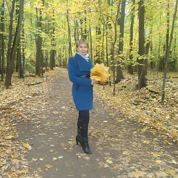 ���� �������, ������ - ��������� 23 ������� 2014