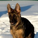 ���� �������, �����-���������, 45 ��� - ��������� 21 ������� 2015 � ������ ������ ��������