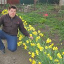 ���� ��������, ���������, 36 ��� - ��������� 11 ������ 2015 � ������ ���� ����������