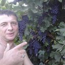 ���� ������., ���������, 56 ��� - ��������� 25 ������� 2015 � ������ ���� ����������