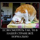 ���� ������, ������ - ��������� 2 ������ 2015 � ������ ���� ���,��� �������!!!�