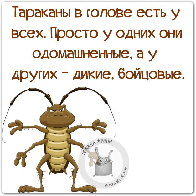   - 15  2014  12:40