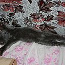 ���� ������, �����-��������� - ��������� 21 ������ 2015