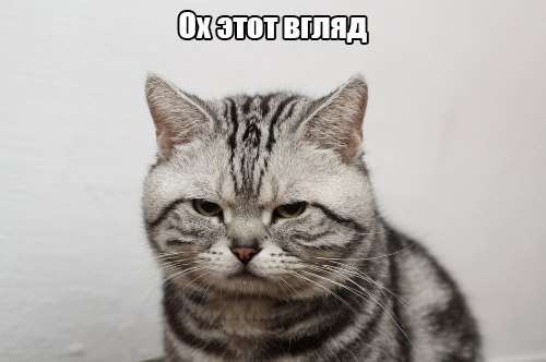       - 21  2014  21:25