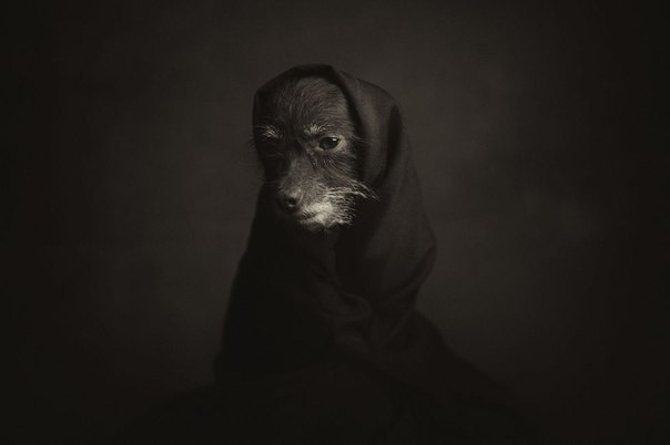     (Vincent Lagrange)     ... - 5