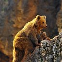 ���� �����, �������, 59 ��� - ��������� 25 ������ 2015 � ������ ������ ��������