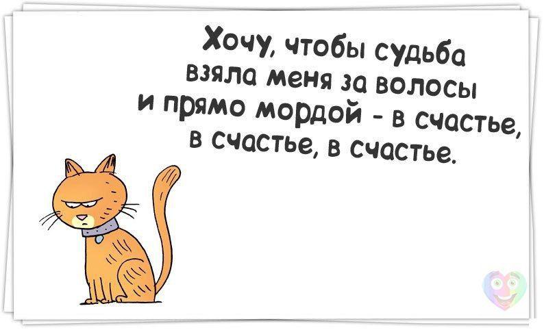 Art & Fun - 16  2015  01:31