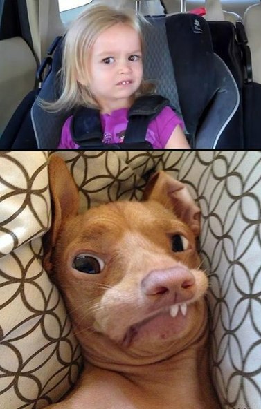 ?