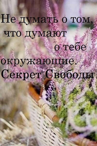 .. - 25  2015  19:46