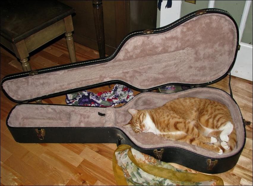  )))
