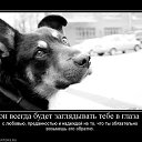 ���� �������, ������ - ��������� 15 ����� 2015 � ������ ��������������