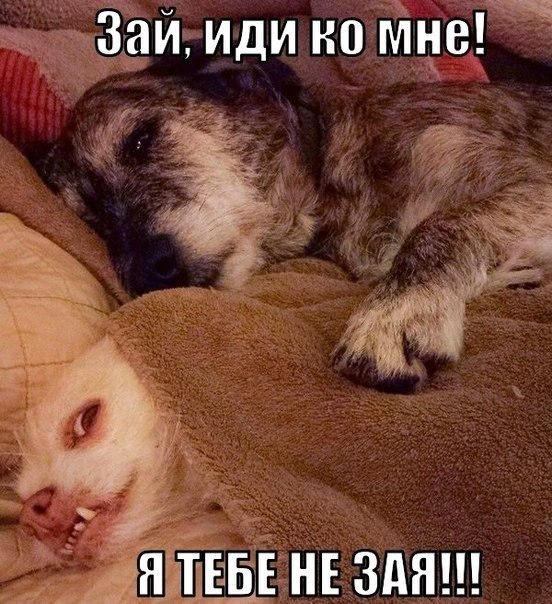  ,    .