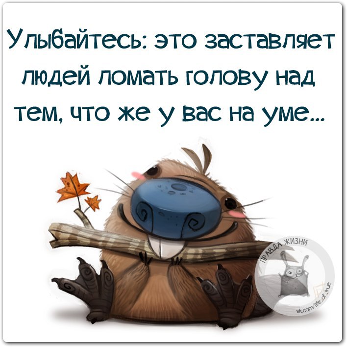 Улыбнись и пусть все ломают голову что у тебя на уме картинки