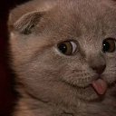 ���� �����, ������� �����-7, 54 ���� - ��������� 15 ������ 2015 � ������ �������.�