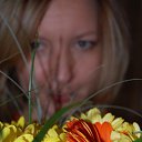 ���� ����, �������, 42 ���� - ��������� 18 ����� 2015 � ������ ���� ����������