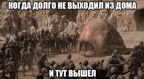 Как правильно писать на долго или надолго. Анекдоты про замужество. Мемы про соню обидные. Долго еще ждать. Надолго как пишется слитно.