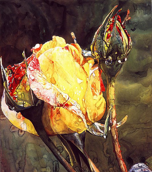 Varios Artists - 423