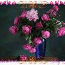 ���� �������, ����������� - ��������� 27 ����� 2015 � ������ �������� ��������
