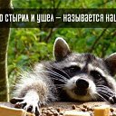 ���� �������, ������-��-����, 46 ��� - ��������� 22 ������ 2015 � ������ ������ ��������