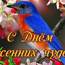 ���� ����, ����� - ��������� 18 ����� 2015 � ������ �������� ��������