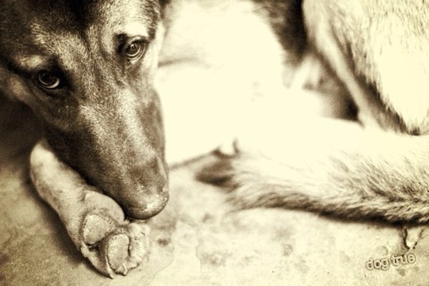   ,     .  ,   ,    ...