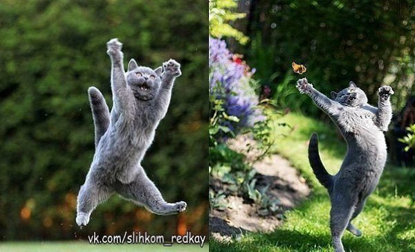 Да помню я, сколько мне лет..!!! ...самый возраст - мечтать... любить и радоваться жизни..!))))