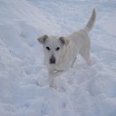 ���� ����, �����, 62 ���� - ��������� 17 ������ 2015 � ������ ������ ��������